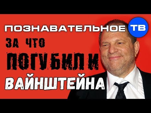 За что погубили Вайнштейна? (Познавательное ТВ, Елена Гоголь)