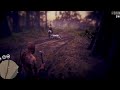 Legendary Ghost Panther Lethal Throw Kill🪓 🌫️🐾  #RedDeadOnline