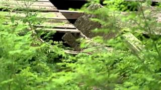 Authorities targeting nuisance properties in Spencer