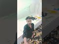 #love #viral #shortvideo