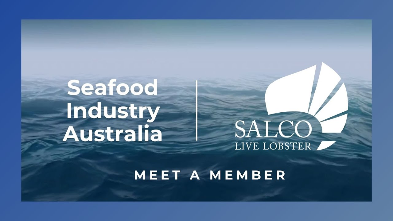 Meet SIA member, South Australian Lobster Company (SALCO)