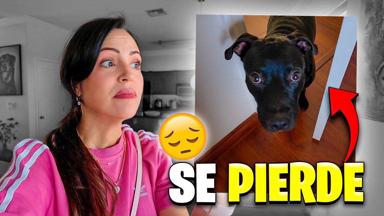Tito se Pierde y Me Pongo Muy Mal :( Sandra Cires Vlog
