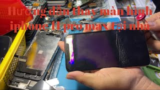 Hướng dẫn thay màn hình iphone 11 Pro Max tại nhà.#hieudo #manhinh #iphone #11promax