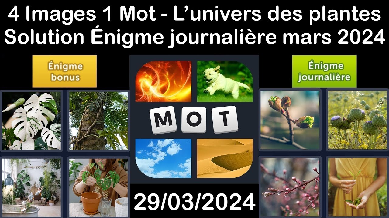4 Images 1 Mot L Univers Des Plantes