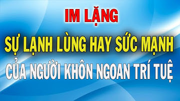 Im lặng sự Lạnh lùng hay Sức mạnh của người Khôn ngoan, Trí tuệ - Gía Trị Cuộc Sống