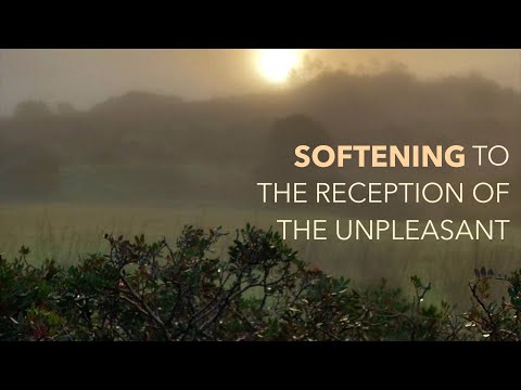 EPISODE 1 - WORDS OF INSPIRATION: 'THE ART OF INTROSPECTION'