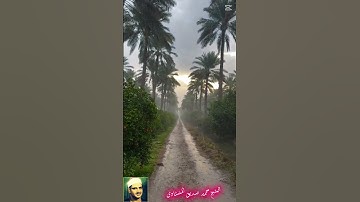 #قرآن#المنشاوي #quran #تلاوة_خاشعة
