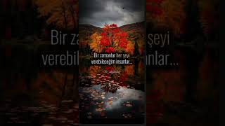 Ekim Ayı Gibiyim Resimi