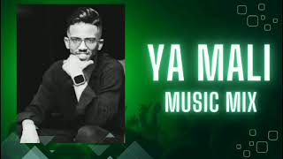 ya mali mix 2025