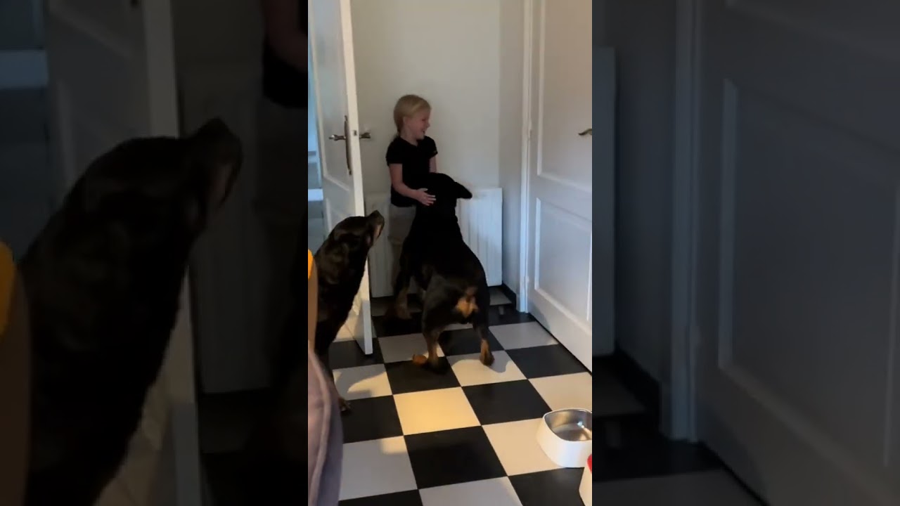 Jax is happy to see Imke 