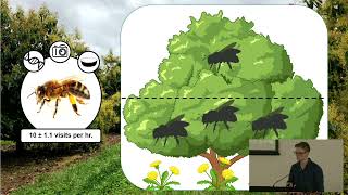 eDNA survey and analysis of insects in avocado orchards - Joshua Kestel, Curtin University