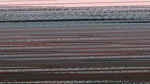 Fraps problems. HELP ME!