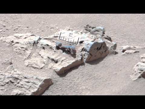 Video: A Strange Object With A Maple Leaf Lying On The Surface Of Mars? - Alternative View