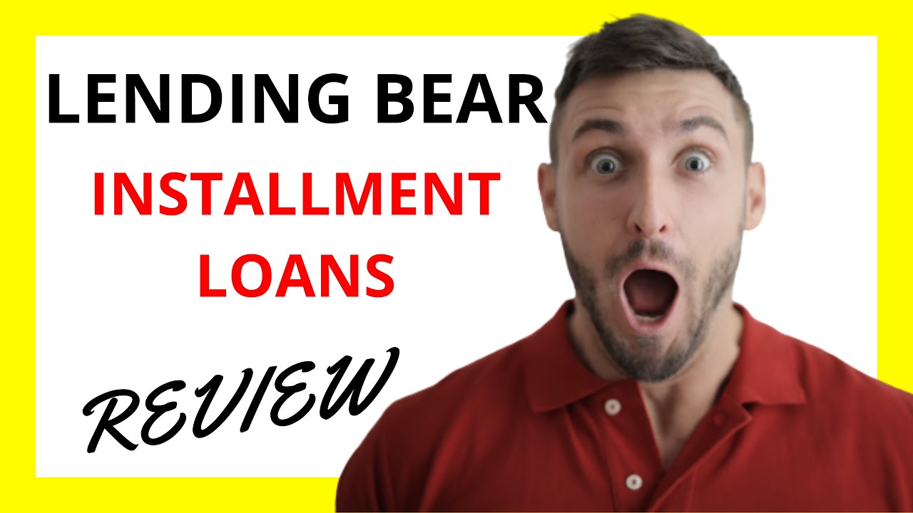 Lending Bear Starke Flnull