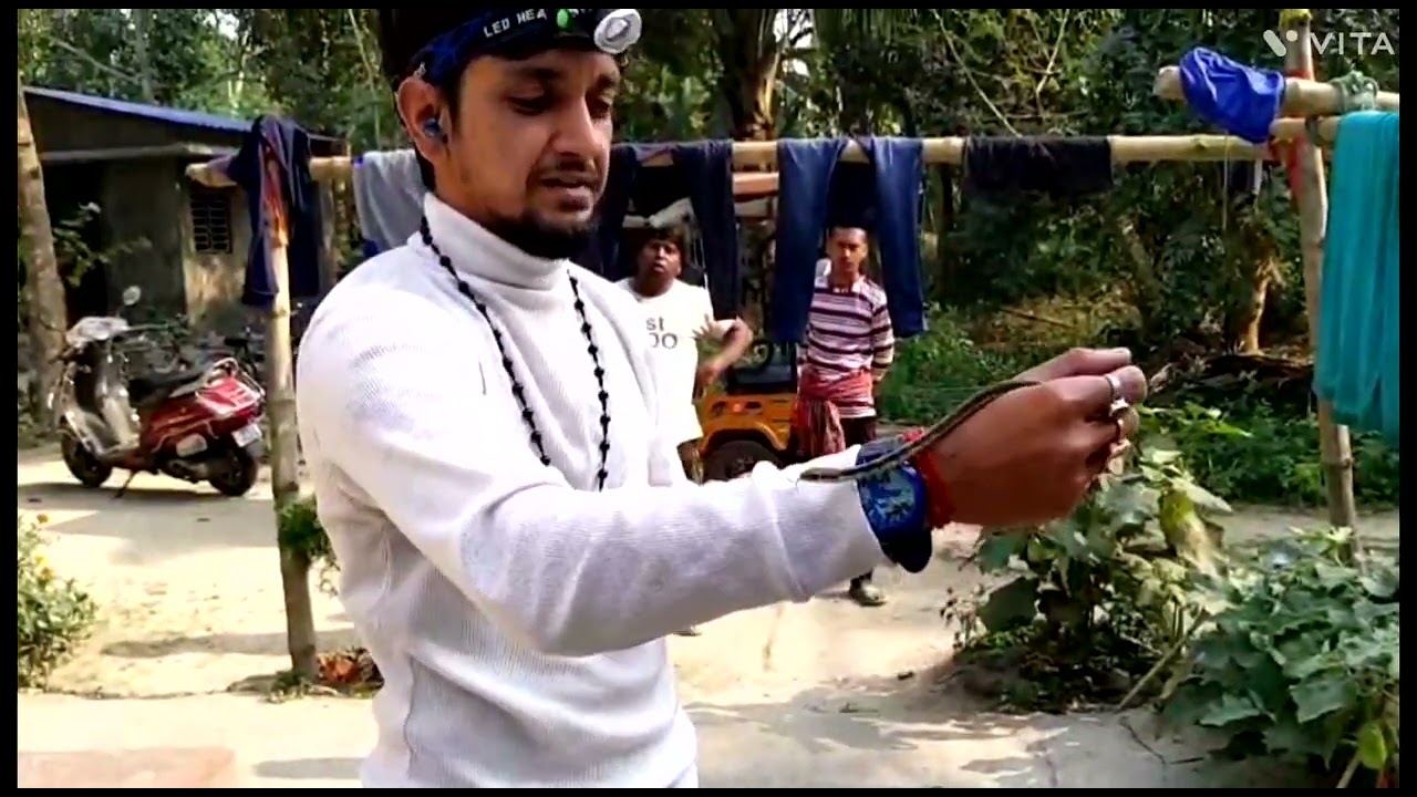 #🐍 rescue n released mission
