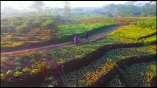 Purbalingga Jawa tengah Indonesia ❤️