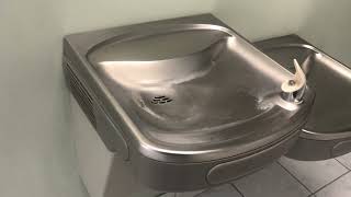 Water fountain Elkay EZS8L Non-Filtered review