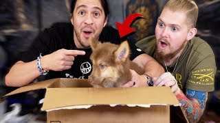 Why Did You Send us This!? - FanMail w/Narrator