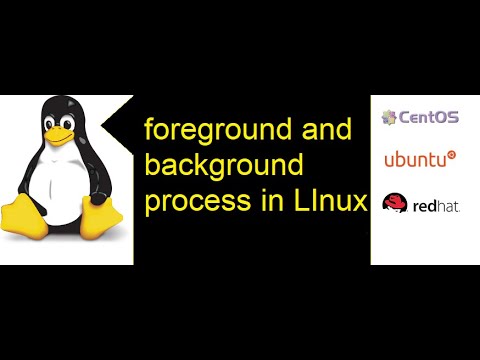 How To View And Kill Background Processes In Linux – Systran Box