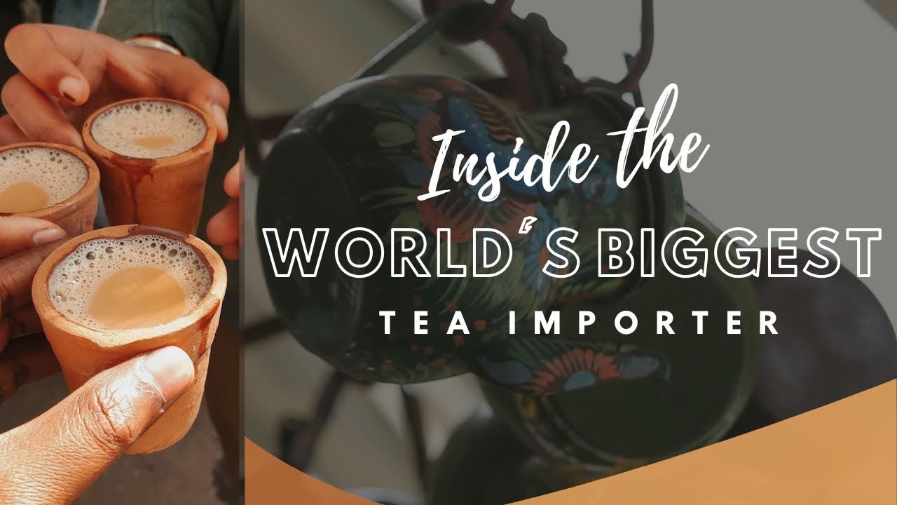 All You NEED TO KNOW ABOUT THE FAMOUS DRINK OF SOUTH ASIAN COUNTRIES: History of TEA