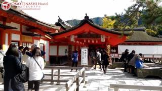 Guesthouse In Miyajima