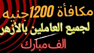 شيخ الأزهر يقرر صرف مكافأة 1200 جنيه لجميع العاملين بالازهر .. منشور مكافأة شيخ الأزهر