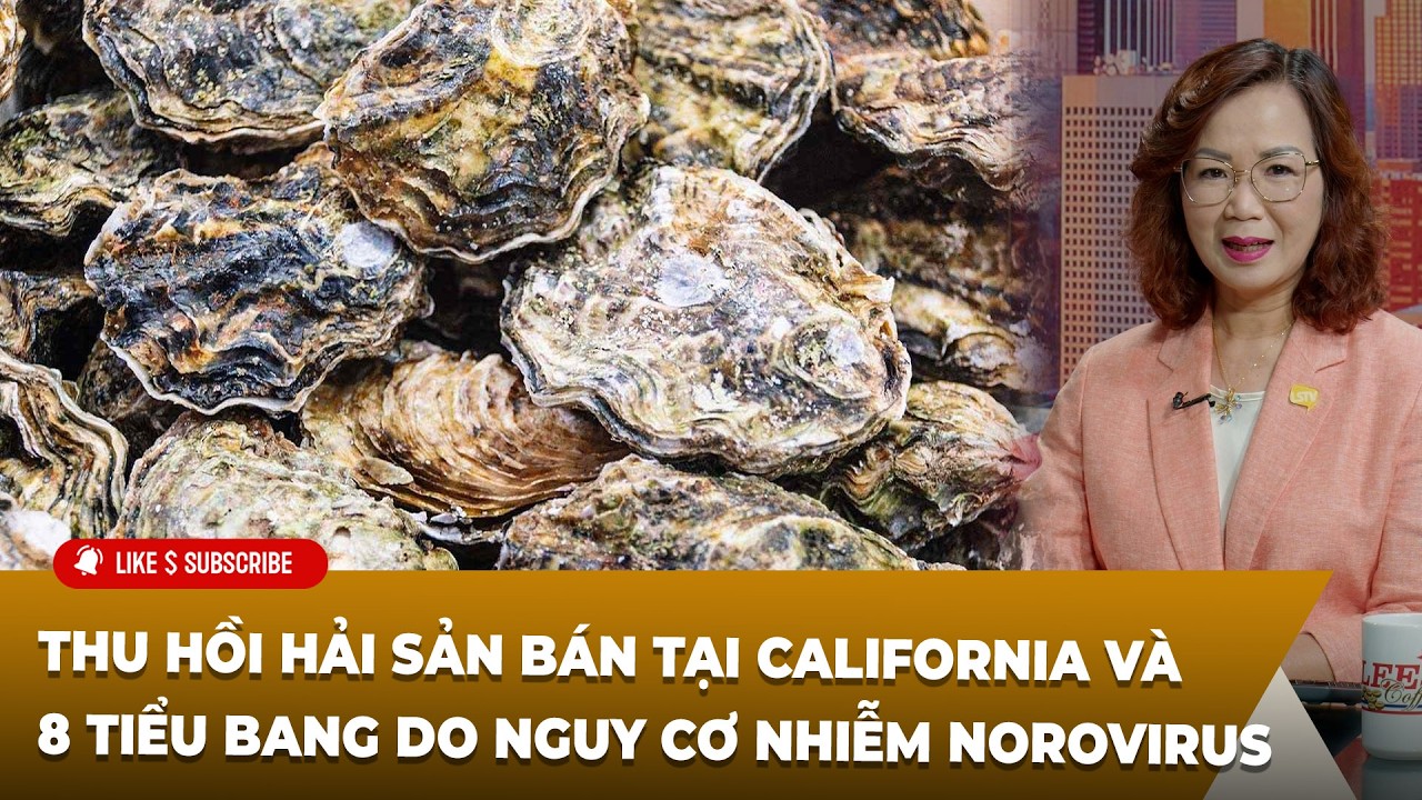 Cà Phê Sáng P4 (03-10-2026) Thu hồi hải sản bán tại Calif và 8 tiểu bang do ɴɢᴜʏ ᴄơ ɴʜɪễᴍ ɴᴏʀᴏᴠɪʀᴜs