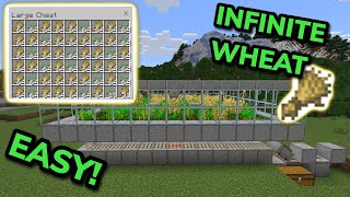 BEST 1.20 AUTOMATIC WHEAT FARM TUTORIAL in Minecraft Bedrock (MCPE/Xbox/PS4/Nintendo Switch/PC)