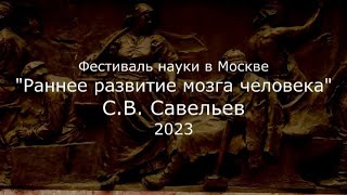 С.В. Савельев - Раннее развитие мозга человека