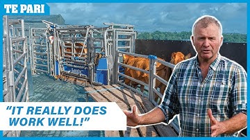 New Cattle Handling System | David Drinkwater | Scotland