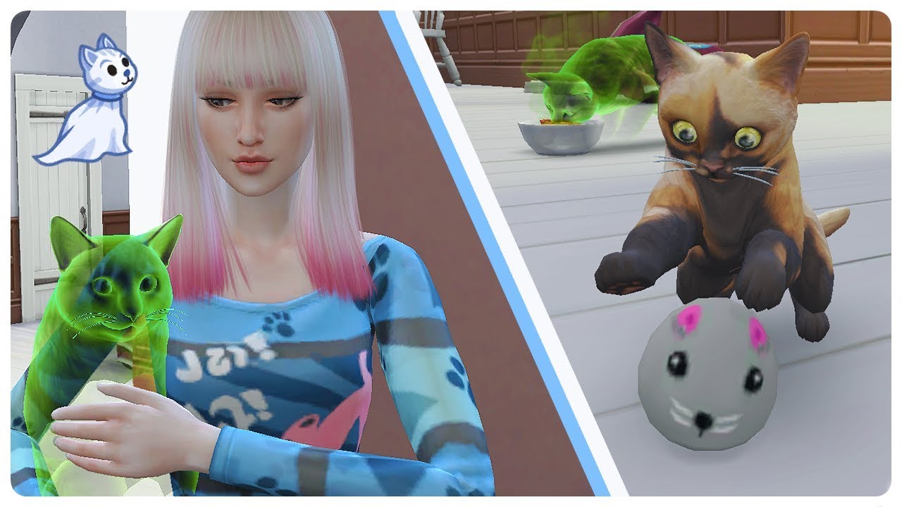 "Kucing Hantu Luna 😱" | Ep.5 Cats and Dogs | The Sims 4 Indonesia 