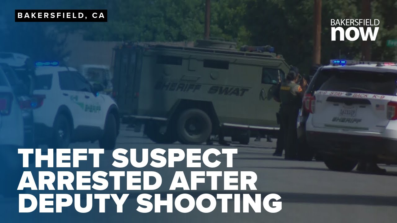 Theft suspect in custody following deputy-involved shooting in ...