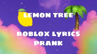 Lemon Tree Roblox Lyrics Prank