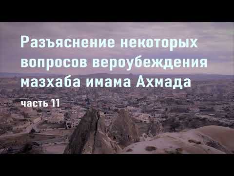 Видео: Как да разбера дали имам нужда от първокласен газ?