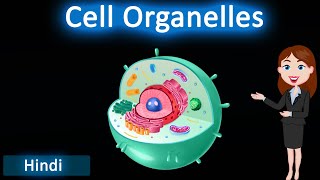 Cell Organelles 3D Animated Explanation Cl 9Th & 11Th Science