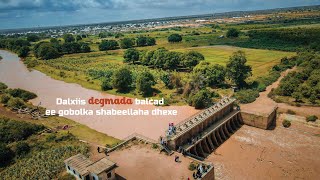 𝗗𝗮𝗹𝘅𝗶𝗶𝘀 𝗱𝗲𝗴𝗺𝗮𝗱𝗮 𝗕𝗮𝗹𝗰𝗮𝗱 Ee Gobolka 𝗦𝗵𝗮𝗯𝗲𝗲𝗹𝗹𝗮𝗵𝗮 𝗗𝗵𝗲𝘅𝗲.