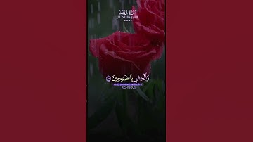 سورة يوسف ꧁قرآن كريم꧂