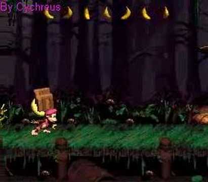 DKC2 Diddy