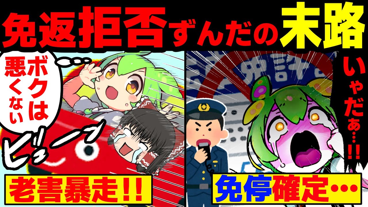 高齢者ドライバーの恐怖。やばいのに免許を返納せず車に乗り続けた老害ずんだもんの末路【ずんだもん&ゆっくり解説】
