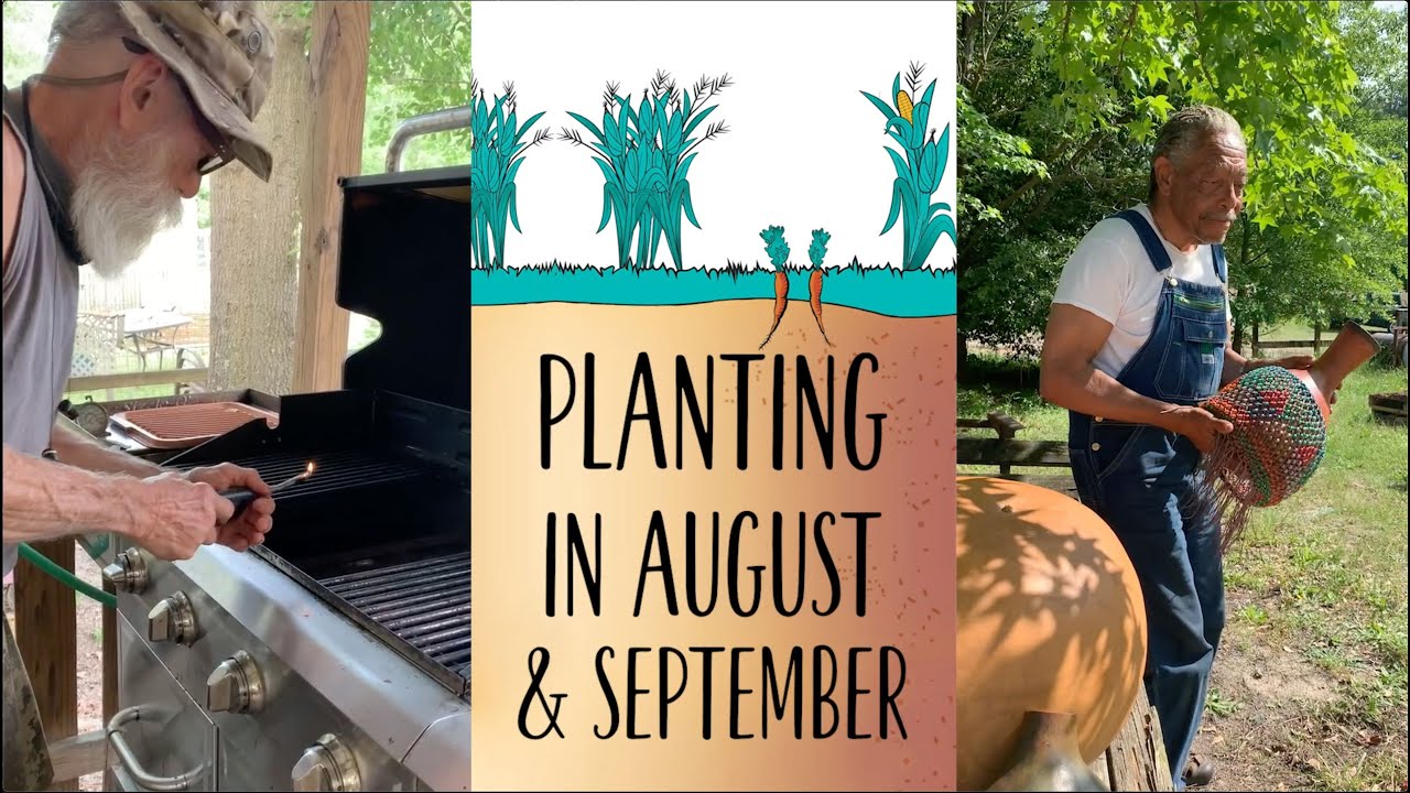 Planting in August & September in South Carolina YouTube