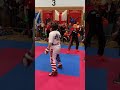 World Championship Martial Arts Point Fighting at I.C.O. Worlds in U.K.  #martialarts #taekwondo