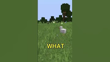 Minecraft, But if You see the color White Video Ends...#shorts #trending #viral