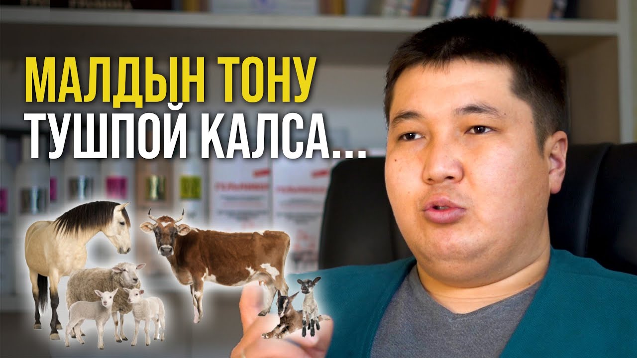 "Задержка последа" - малдын тону түшпөй жаткан учуру эмне кылуу керек ...