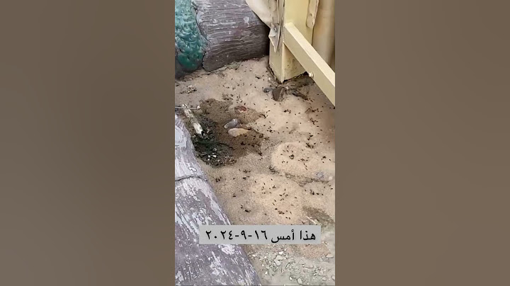 دعاء خروج النمل من المنزل ، مجرب