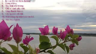 Nhạc Kalimba Thư Giãn | Nhạc Tiktok - Cover By Tuấn Ngọc screenshot 5