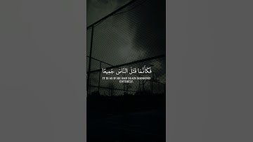 سورة المائدة • القارئ طارق محمد #القرآن_الكريم