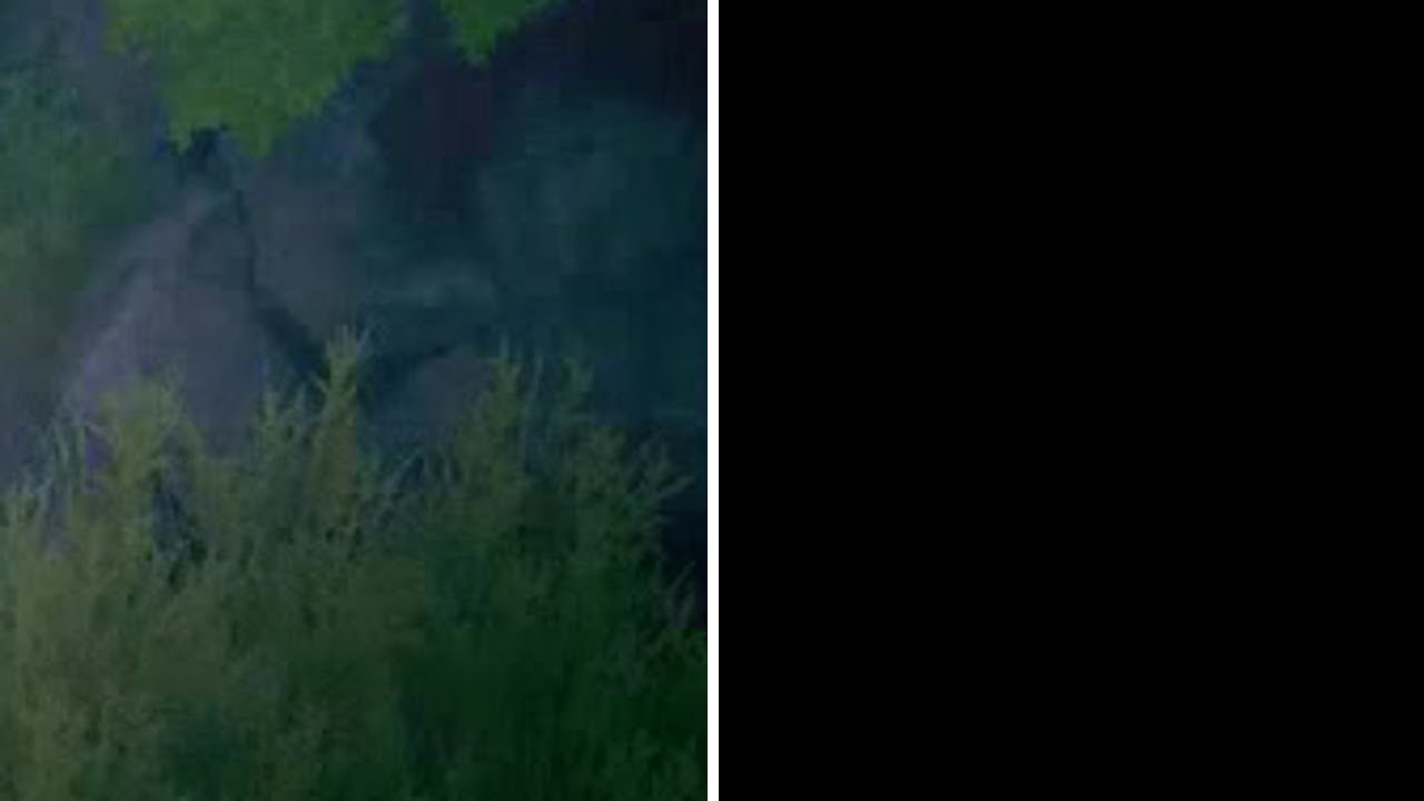 Eternal Return Highlights: INTENTIONAL PIECE BUG X2