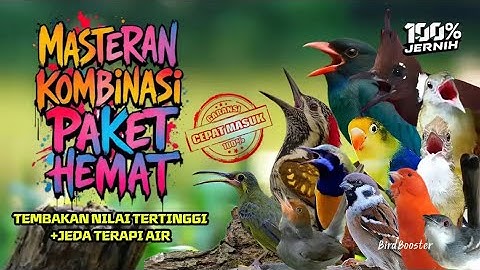 MASTERAN NEMBAK KASAR TAJAM SATU JALUR + JEDA TERAPI AIR 100% GARANSI CEPAT MASUK!!