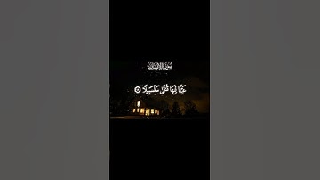 تلاوه قرآنيه طيبه للشيخ هشام عبد الراضي لما تيسر من سوره الإنسان#القرآن_الكريم #اكسبلور #الشيخ_هشام