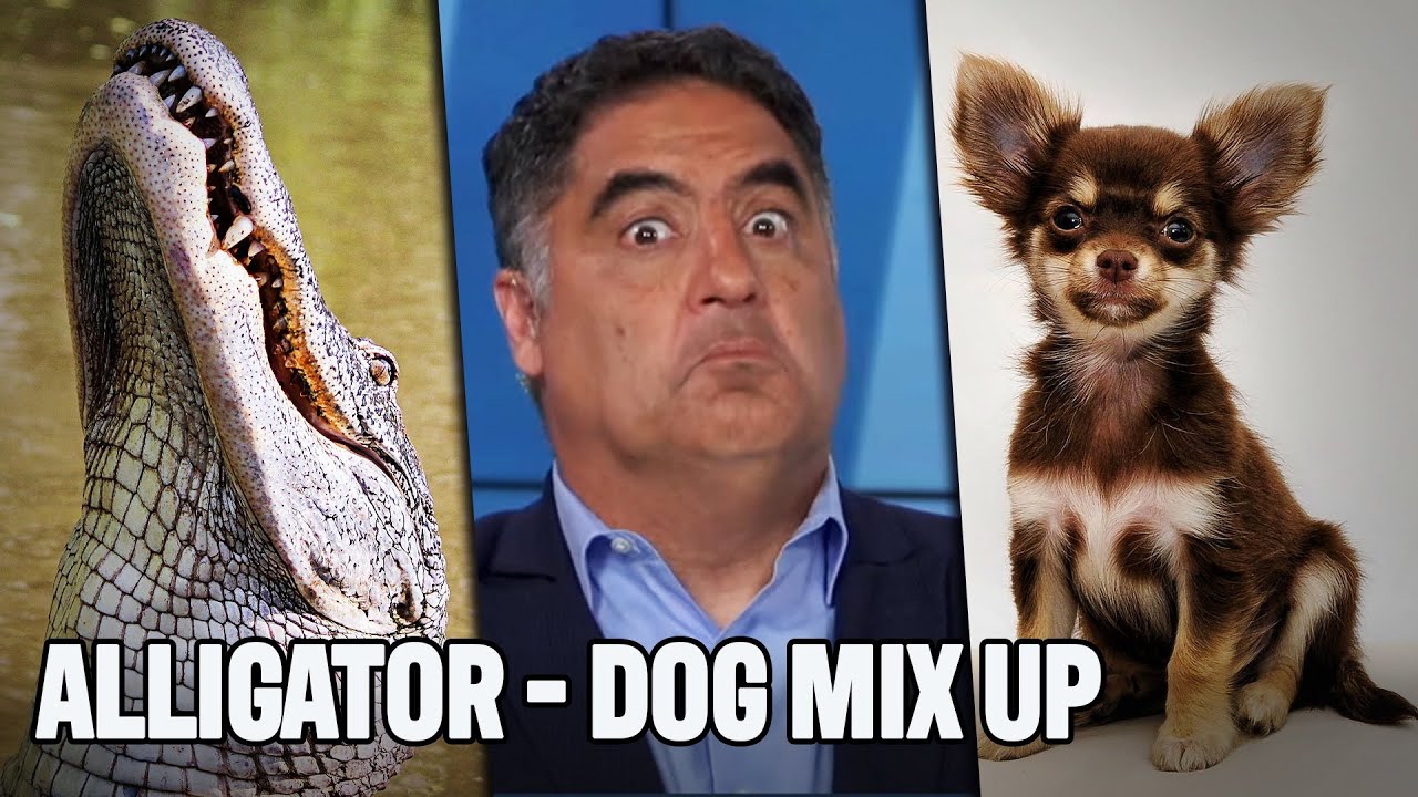 Florida Man Confuses Alligator For A Dog, Immediately Pays The Price